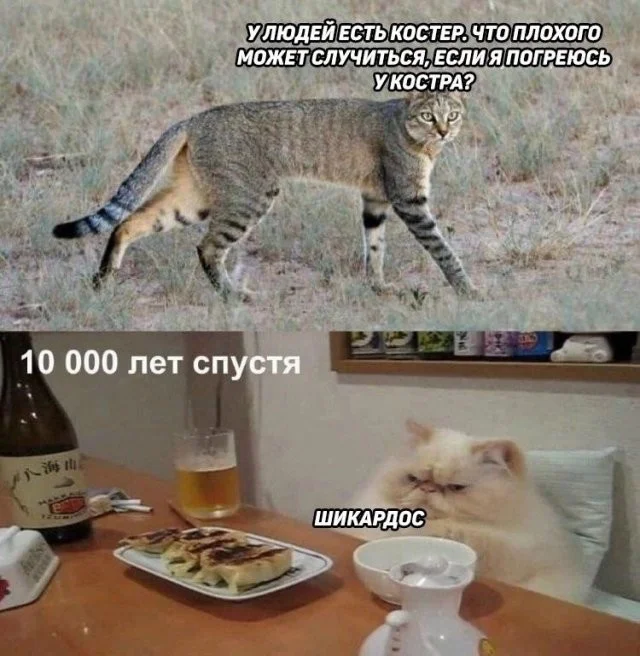 Смешные скрины из соцсетей #30