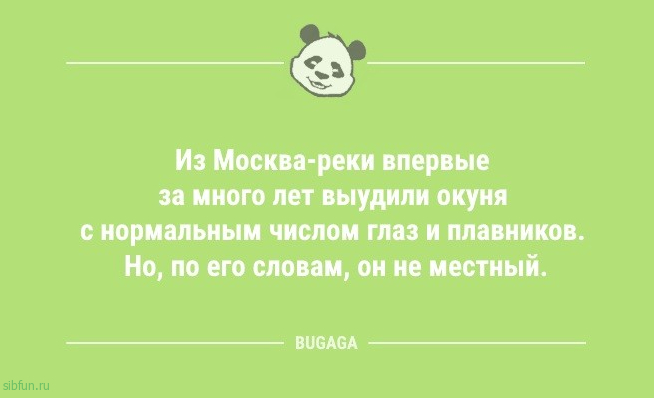 Анекдоты для пятничного настроения: «Я не знаю, как вы там переводите время…» 