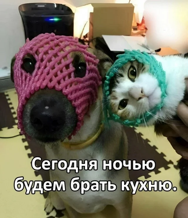Клёвые картинки