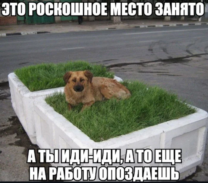 Нестандартный юмор #318