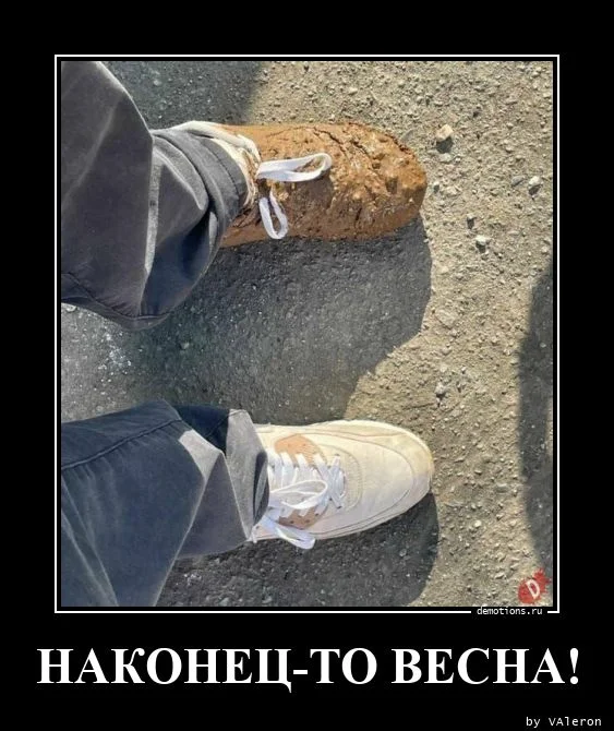 Демотиваторов порция