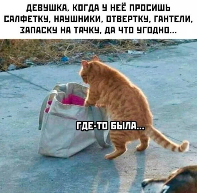 Смешные скрины из соцсетей #31