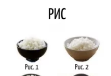 Игра слов #68