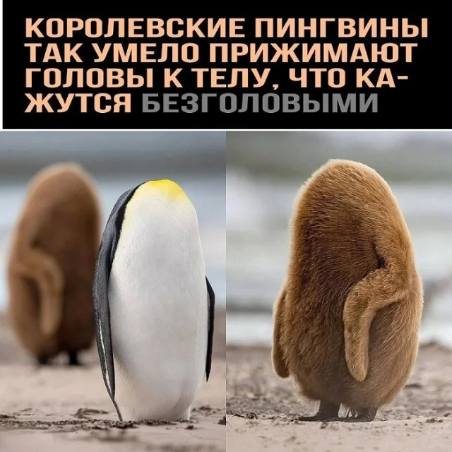 Всякие разные картинки