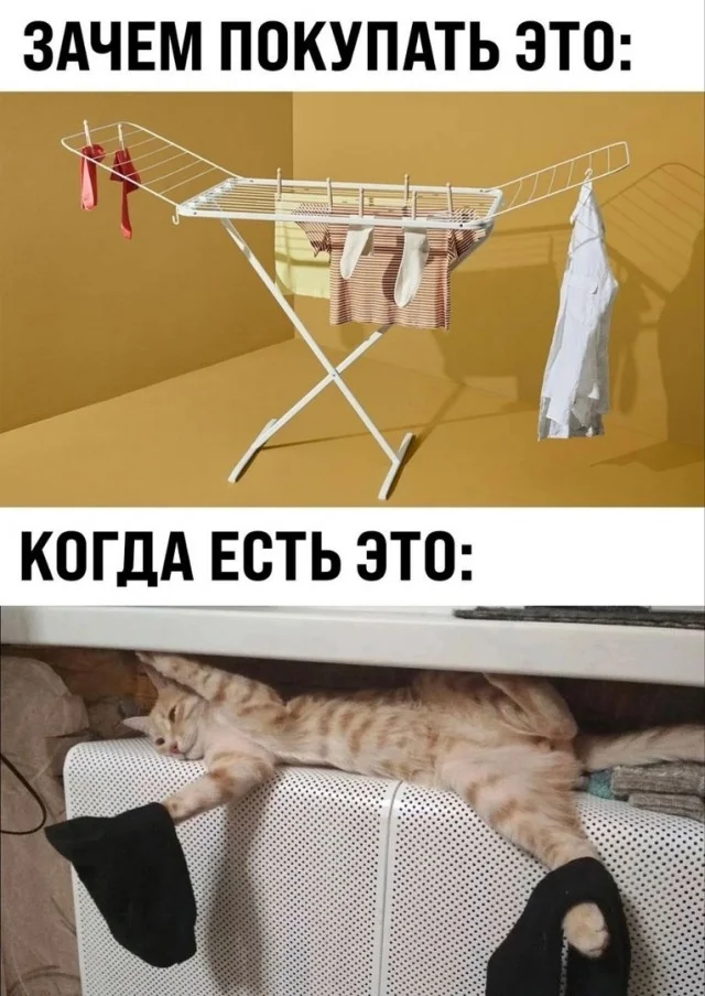 Ржачные картинки