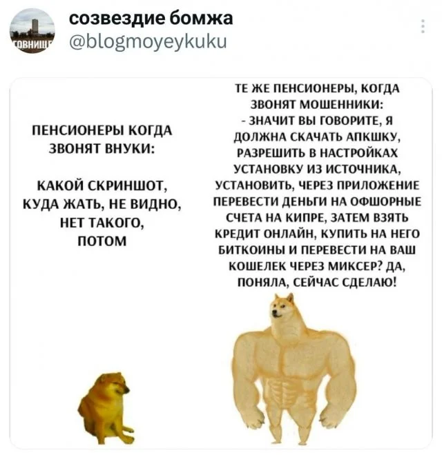 Смешные скрины из соцсетей #21