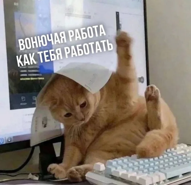 Смешные скрины из соцсетей #27
