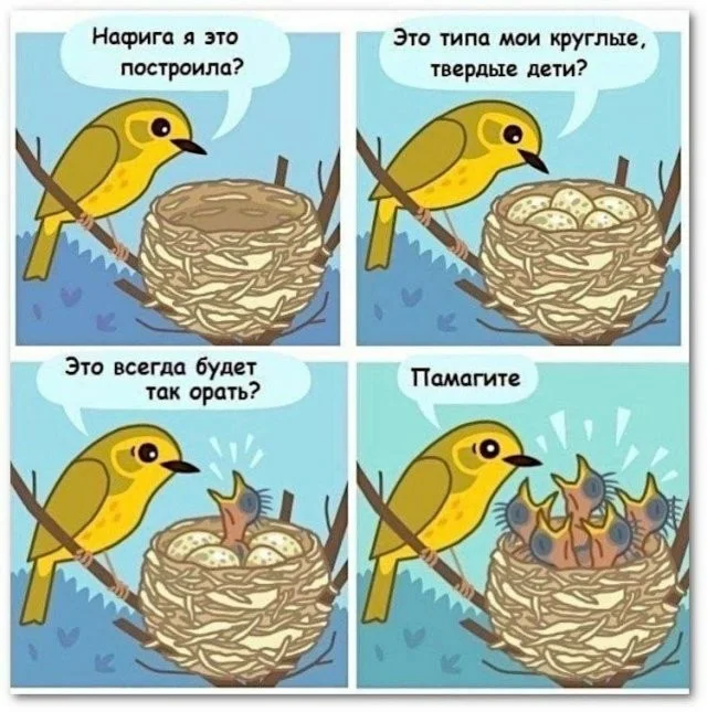 Смешные скрины из соцсетей #26