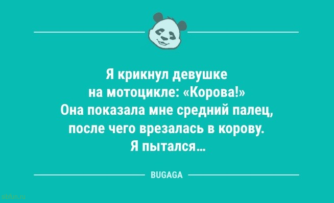 Анекдоты для настроения: «Правильно и со вкусом носить вещи…» 