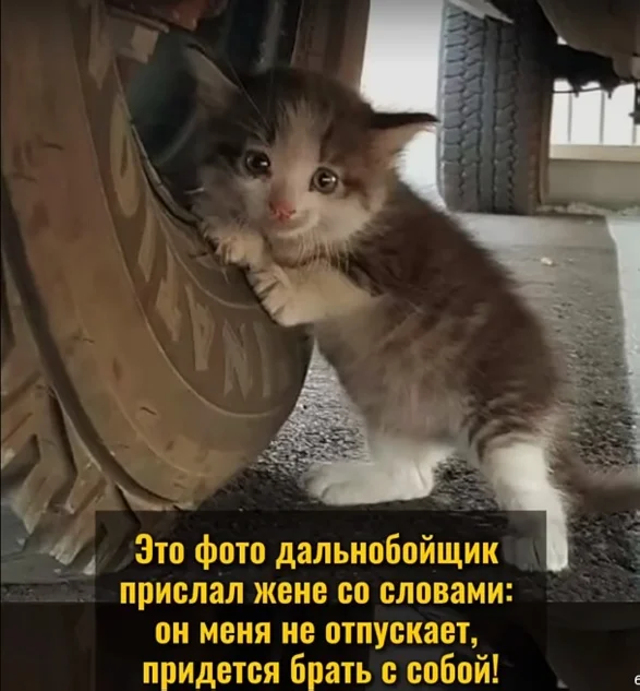 Картинки с юмором и не толко