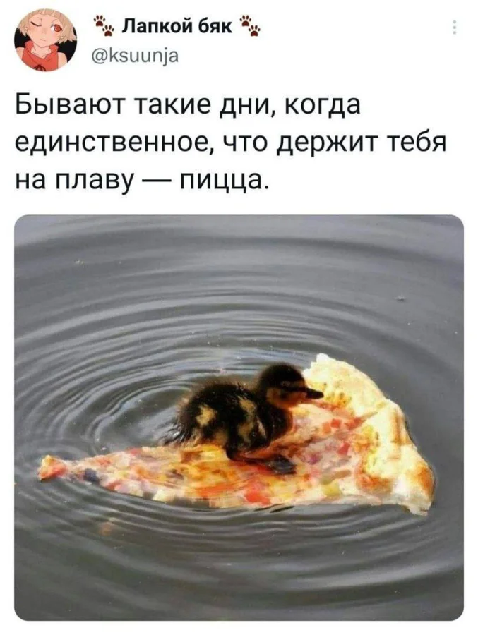 Нестандартный юмор #331