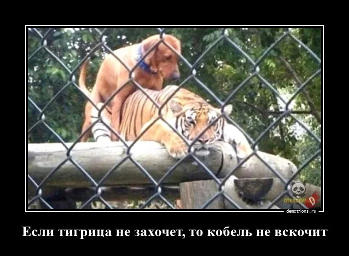 Демотиваторы на любой вкус