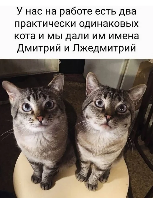 Так себе юмор #24