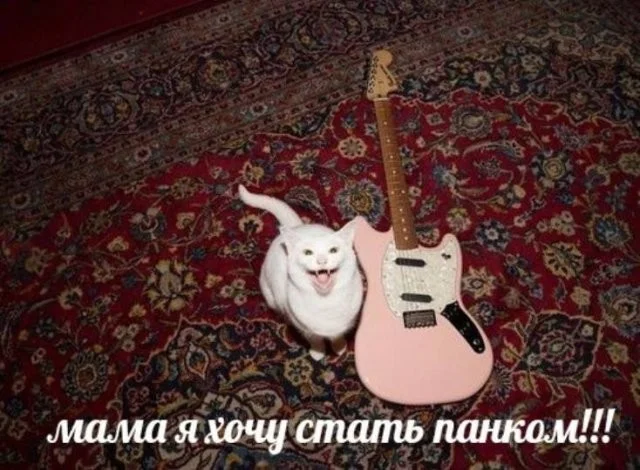 Смешные скрины из соцсетей #26