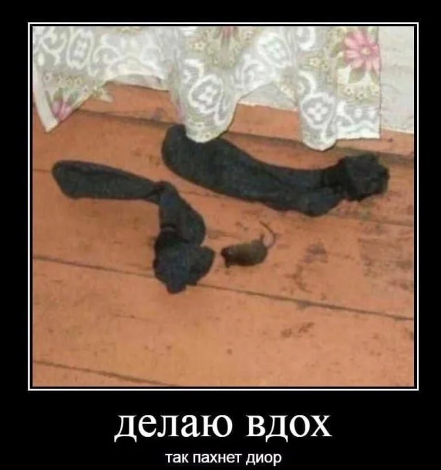 Веседые демотиваторы