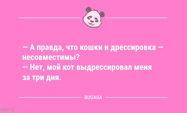 Анекдоты в конце рабочей недели: «Решил заняться спортом…» 