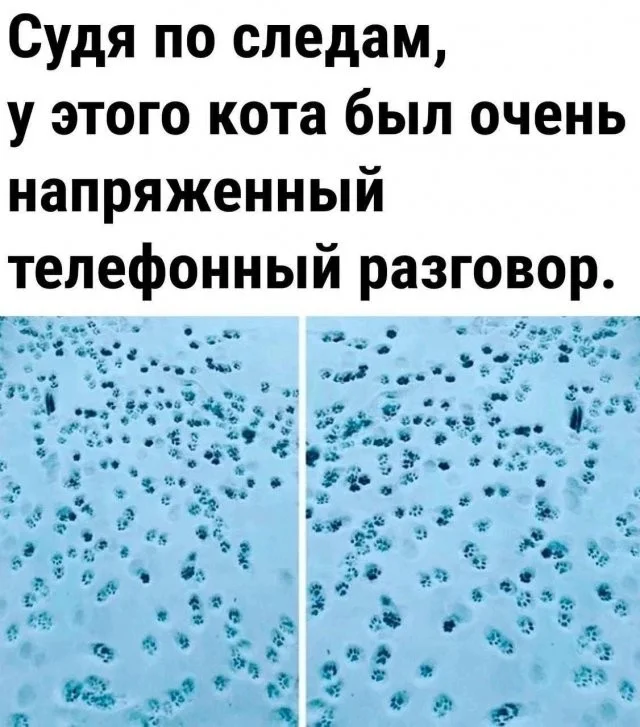 Смешные скрины из соцсетей #14