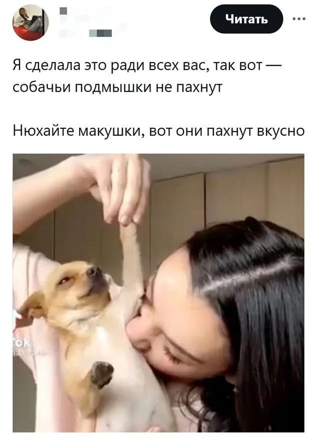 Ого, свежие приколы!