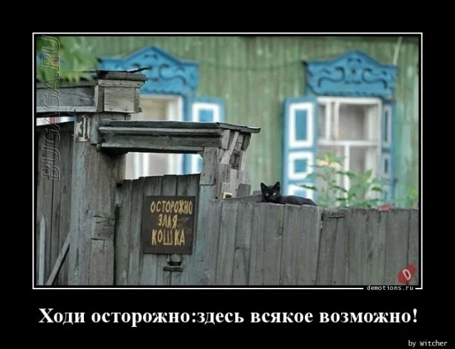 Демотиваторы для всех