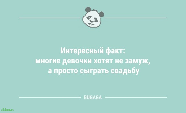 Анекдоты в конце недели: «Заходит Илон Маск в бар…» 