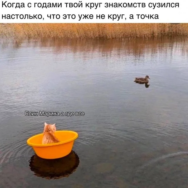 Смешные скрины из соцсетей #13