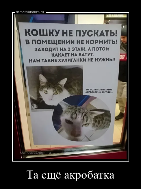 Демотиваторы на любой вкус
