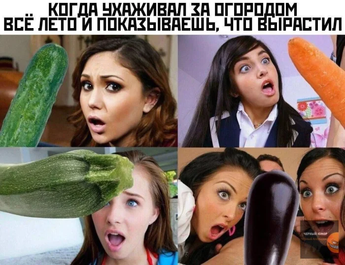 Нестандартный юмор #334