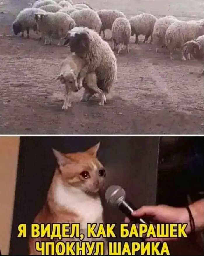 Нестандартный юмор #334