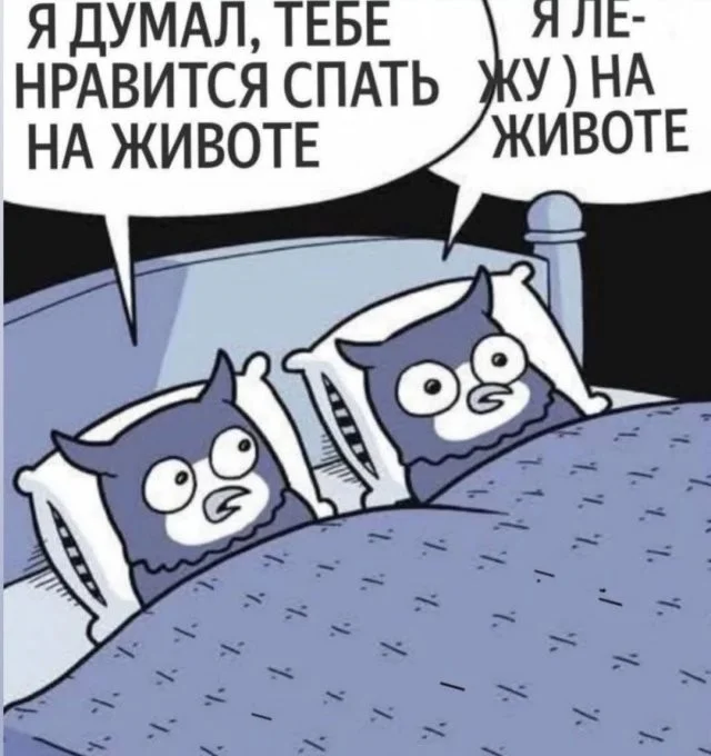 Смешные скрины из соцсетей #44
