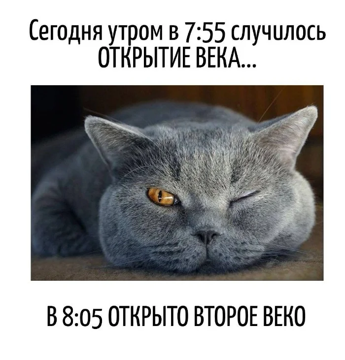 Игра слов #75