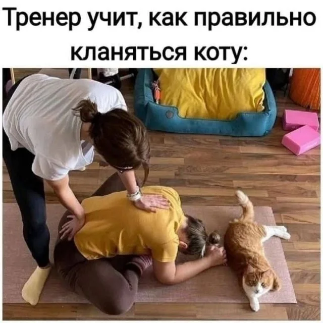 Смешные скрины из соцсетей #35