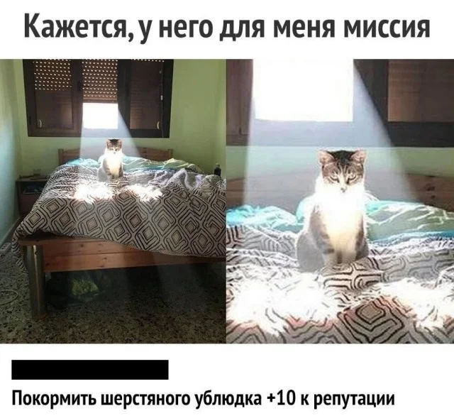 Юмор, что надо!