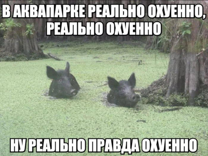 Нестандартный юмор #353