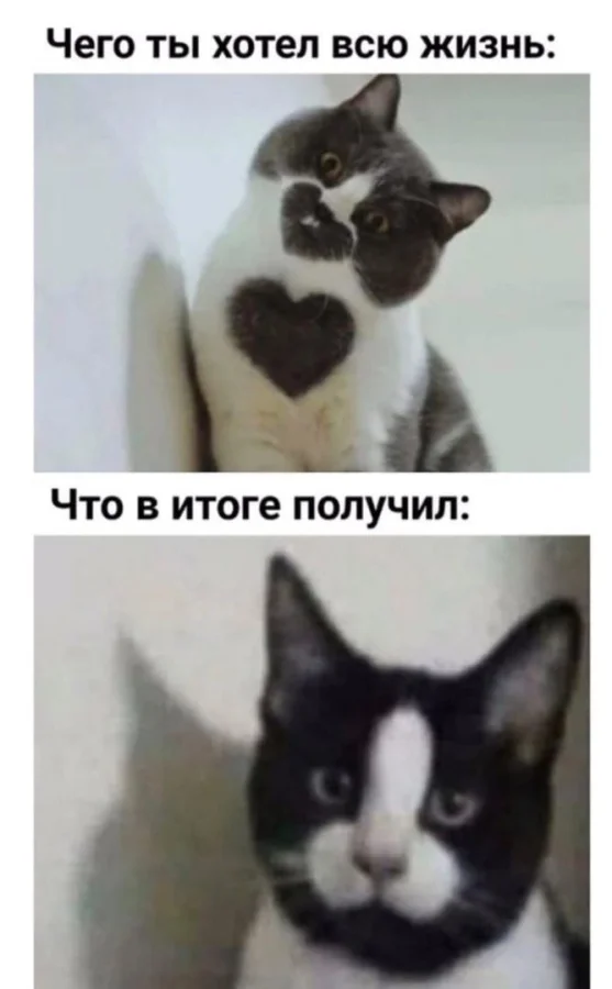 Нестандартный юмор #371