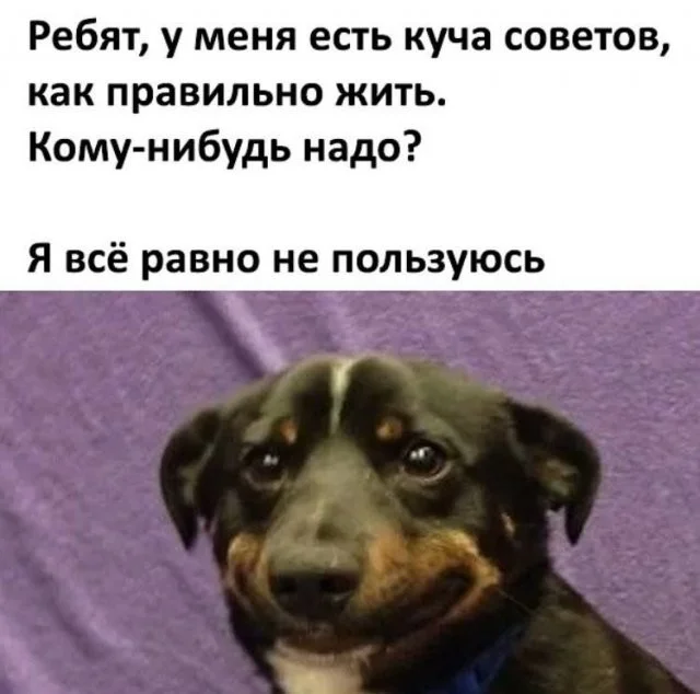 Смешные скрины из соцсетей #44