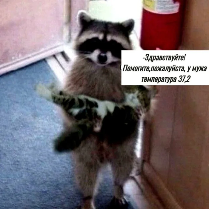 Нестандартный юмор #371