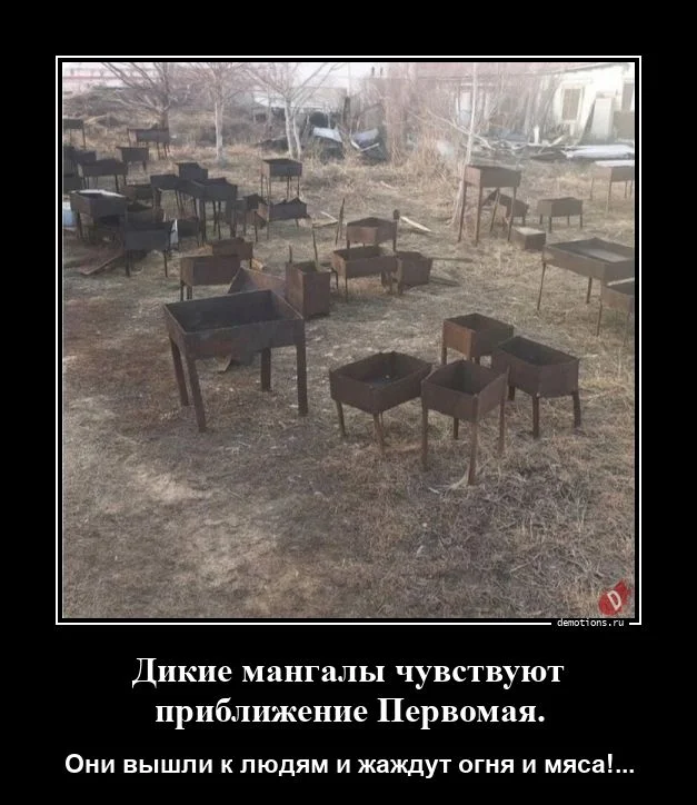 Демотиваторы-приколы