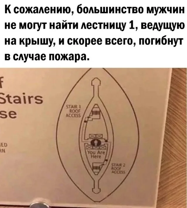 Кайф, а не прикольные картинки