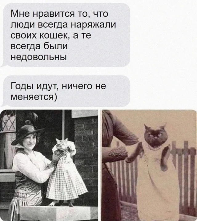 Так себе приколы