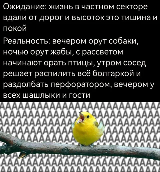Легко и свежо: Прикольные картинки