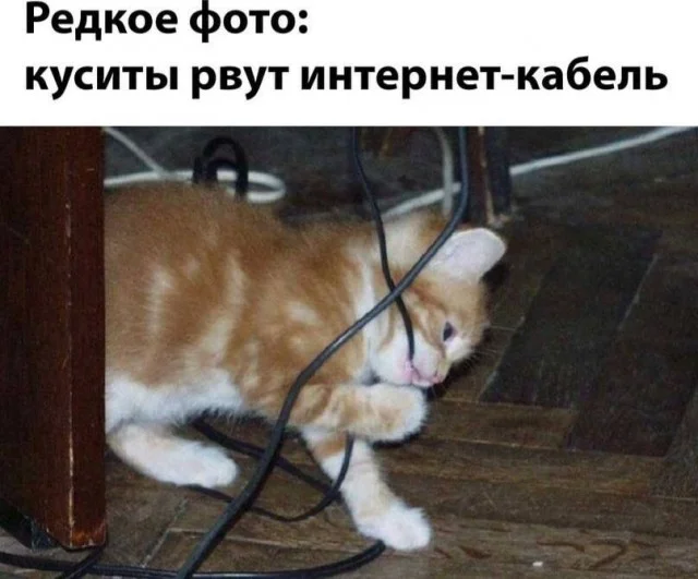 Никчемные картинки
