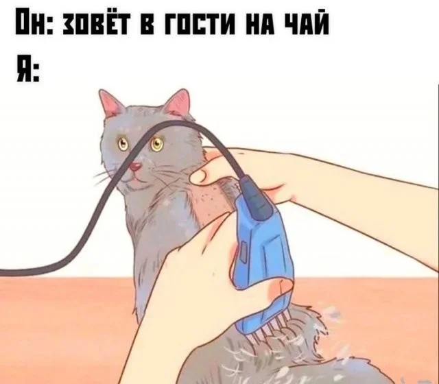 Смешные скрины из соцсетей #42
