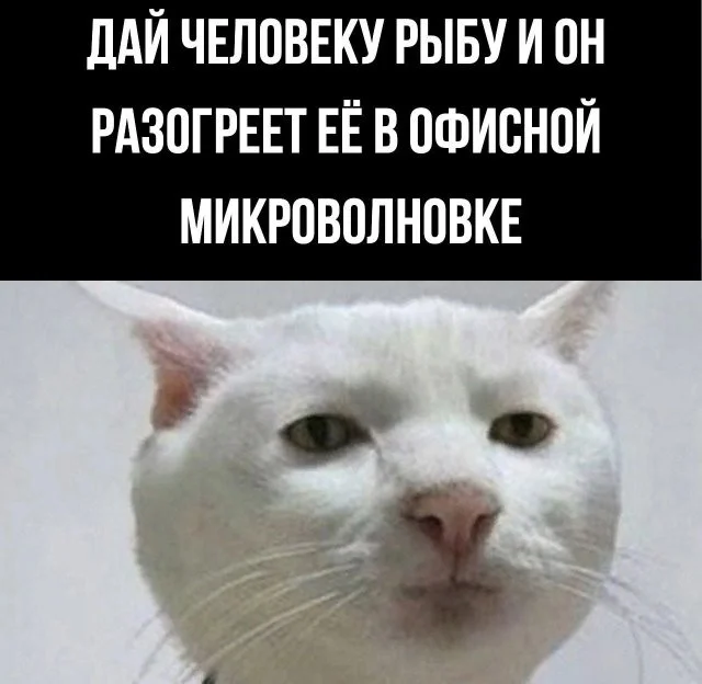 Смешные скрины из соцсетей #34