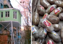 Когда здравый смысл отдыхает: 16 нелепых поступков людей