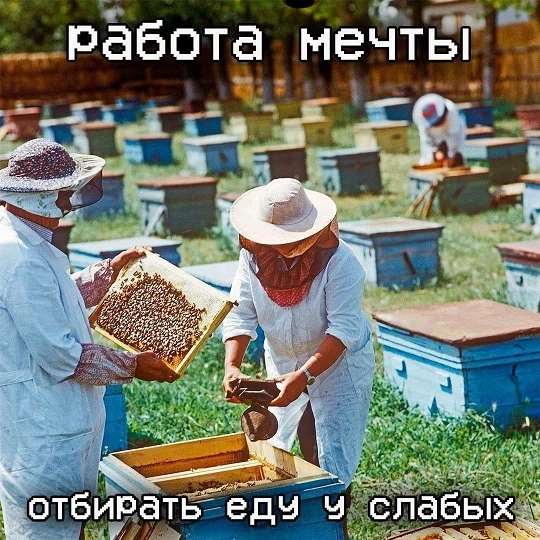 Картинки - смешно