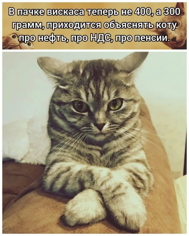 Картинки картиночки!