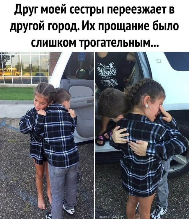 Актуально и свежо: Прикольные картинки