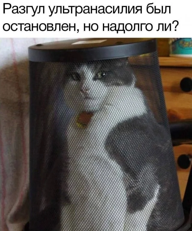 Смешные скрины из соцсетей #38