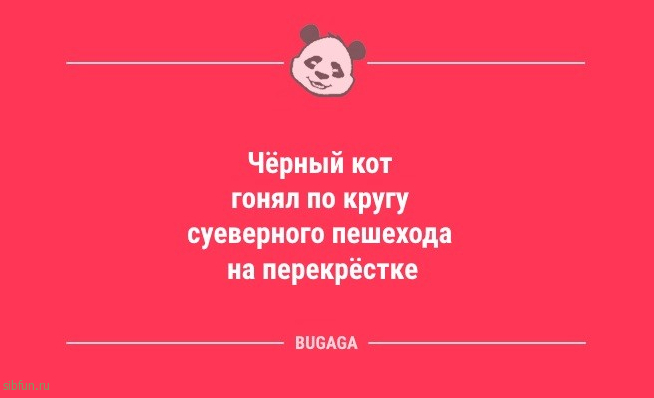 Анекдоты в середине недели: «Чтобы не наступать на одни и те же грабли…» 