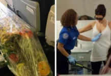 20 снимков из аэропортов, которые поймут только бывалые путешественники